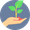 037-sprout.png